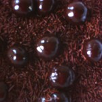 Receita de brigadeiro de Café