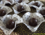 receita de bombom de creme